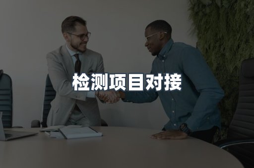 检测项目对接